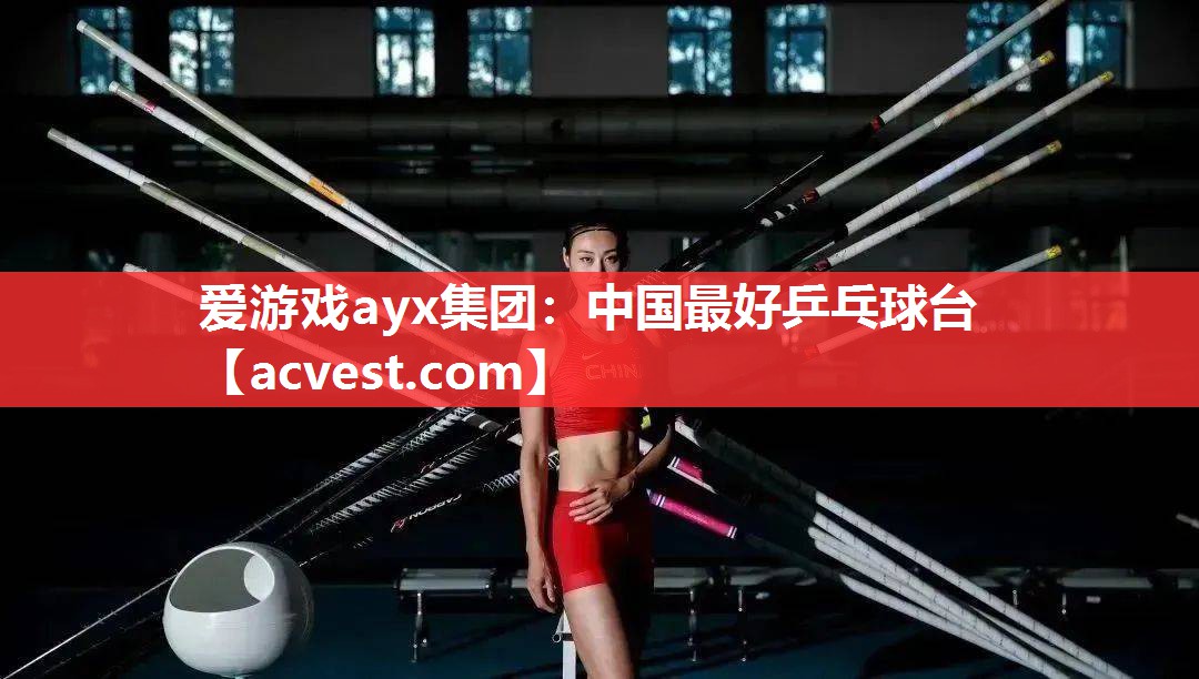 爱游戏ayx集团：中国最好乒乓球台